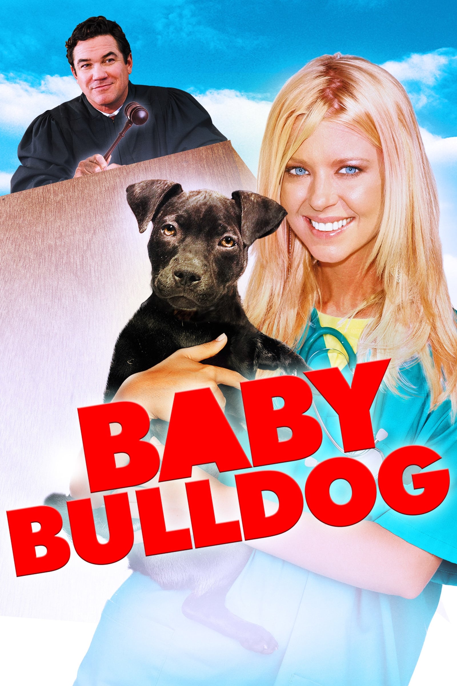 Постер Baby Bulldog